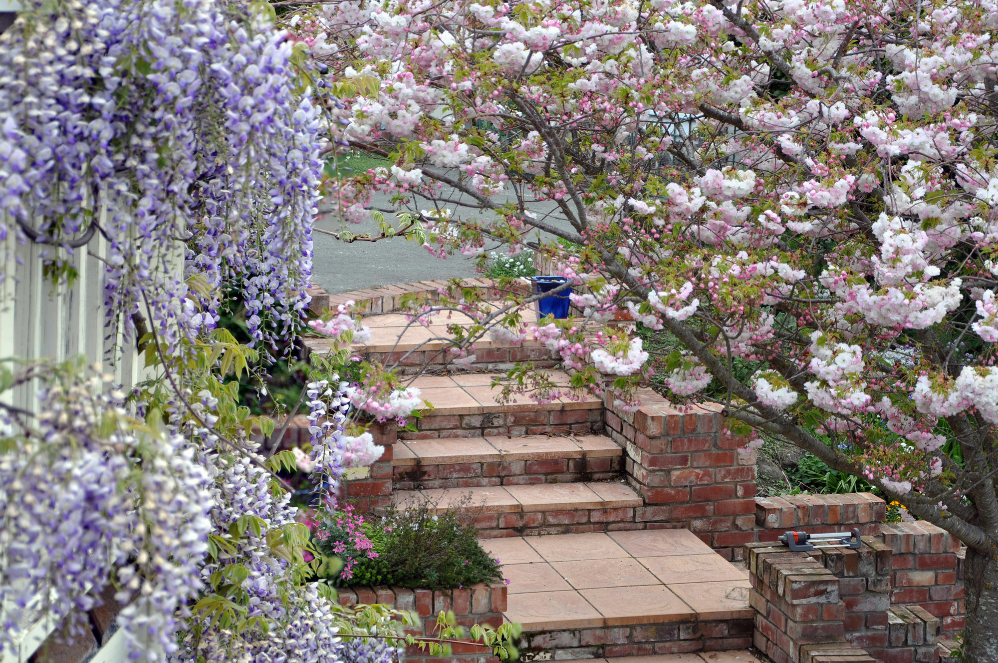 Bed & Breakfast Dyers House Christchurch